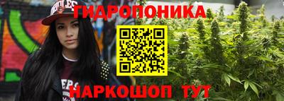молекула духа Гагарин